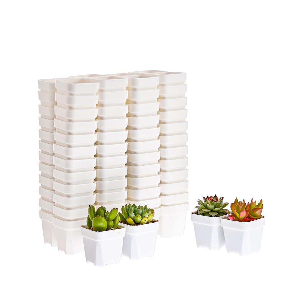 BangQiao 100 Pack 2.55 Inch Small White Plastic Square Nursery and Seedling Pot with Drain Hole for Germination, Cactus, Herb, Succulent