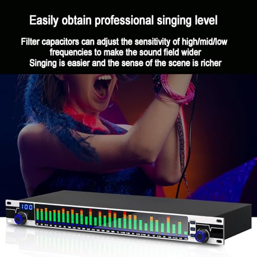 Ecualizador digital profesional de 31 bandas dual, con procesamiento DSP, pantalla LED y función de almacenamiento de memoria para 10 modos, aplicable a equipos de audio y amplificadores de escenario miniatura 3