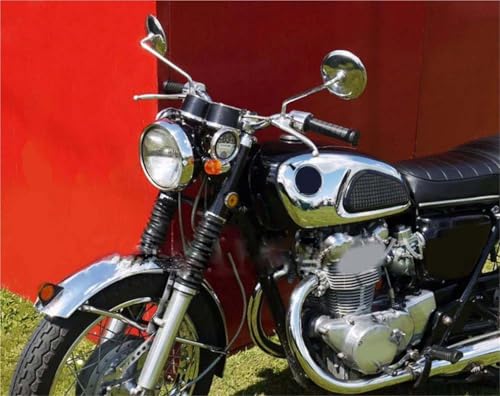 Rétroviseurs moto ronds chromés 8 10 mm pour éliminer les angles morts