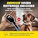 Dogtra Smart Fence Additional Receiver Only (Orange) - Expand to 2 Dogs, Requires Control Station, Wireless Electric Dog Fence System, No Subscription, 2-Tier Alarm, Tone/Vibration/Static, 35 lbs+