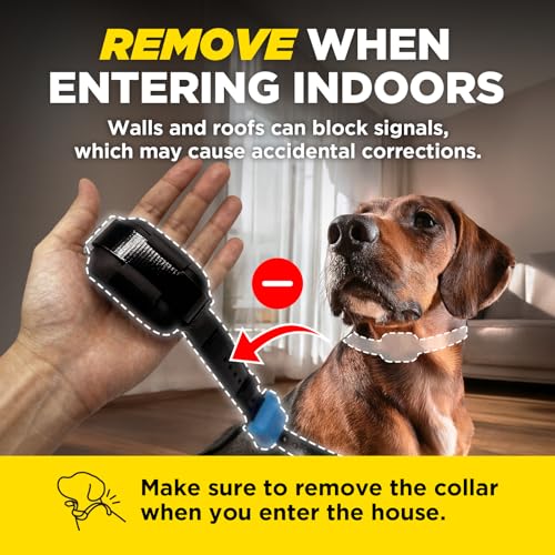 Image of Dogtra Smart Fence Additional Receiver Only (Orange) - Expand to 2 Dogs, Requires Control Station, Wireless Electric Dog Fence System, No Subscription, 2-Tier Alarm, Tone /Vibration /Static, 35 lbs+