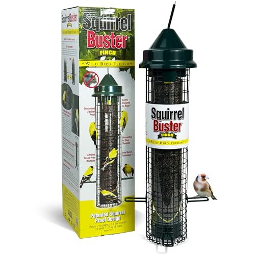 Squirrel proof Bird Feeder for Niger Seeds - Jacobi Jayne® Squirrel Buster® Finch – Pigeon Proof Bird Feeder for Wild Birds – Easy Clean Bird Feeders Pest Proof UK Perfect for Attracting Finches option