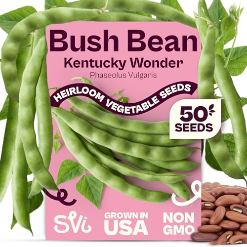 SVI 50 Kentucky Wonder Bush Bean Seeds (Phaseolus vulgaris) Green Beans Seed Packets Pole Beans Heirloom Vegetable Seeds for Outdoor Vegetable Garden Containers