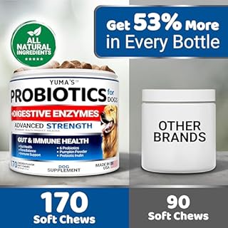 Probiotics for Dogs - 170 Chews - Helps Relieve Diarrhea, Gas & Allergies, Constipation - Dog Probiotics - Digestive & Immune Support - Prebiotics & Digestive Enzymes - Gut Health Chewable Supplement