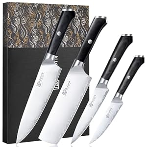 PAUDIN Kitchen Knife Set, 4 Pieces Chef Knife Set, High Carbon Stainless Steel Knife Set, Ultra-Sharp Knives Set for Kitchen with Ergonomic Wooden Handle, Gifts for Men and Women