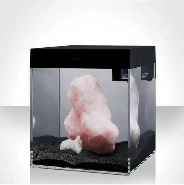 Askoll Acquario Pure S Absoluteblack - Kit Acquario Completo Nero 13L
