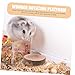 CIYODO 3pcs Wooden Parrot Ladder Toy for Bird Training Climbing Perch for Small and Pets Interactive Activity Platform for Hamsters and Birds Diameter