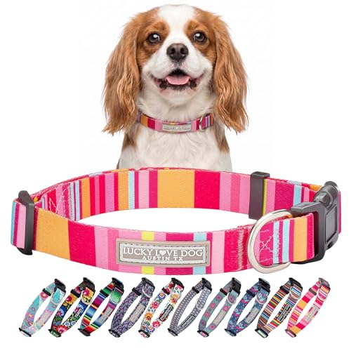 Lucky-Love-Dog-Adjustable-Dog-Collar-with-Easy-Click-Buckle-for-Small-Dogs-Durable-Comfortable-for-Male-Female-Dogs-Pet-Collar-for-Puppies-Adult-Dogs-Molly-Small Lucky Love Dog - Adjustable Dog Collar with Easy Click Buckle for Small Dogs, Durable, & Comfortable for Male & Female Dogs, Pet Collar for Puppies & Adult Dogs - Molly, Small - Image 1