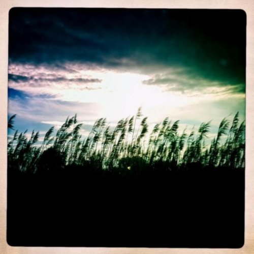 The Moment Of Sound Without Digital Music