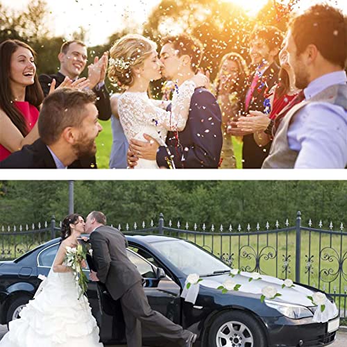 FINEVERNEK Decorazioni Auto Matrimonio, Rosa