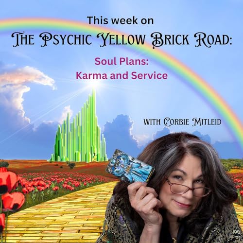 Soul Plans: Karma and Service