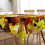>>--> Utilisations diverses: Vous pouvez non seulement poser la nappe sur la table, mais également l'étendre sur la table basse et sur le bureau. De plus, lorsque vous voyagez, vous pouvez les porter, elle est très légère et pratique, surtout pour le pique-nique et le camping.-------(mettre aubergine autel magie pendule autocollante foncé marine et or rouleau sequin marron nuit roi tulle kaki kimono kraft licorne mariage mauve orange 180 taupe thème dinosaures turquoise)