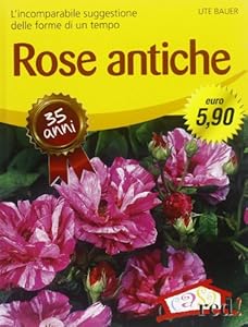 Rose antiche