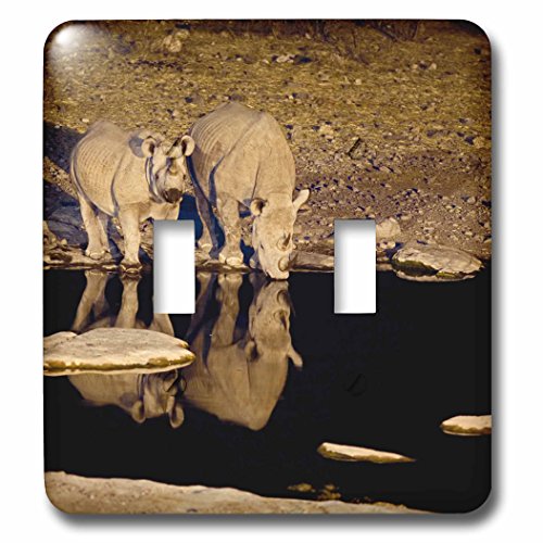 Interrupteur double 3dRose Namibia Etosha décoratif pour salon - 2