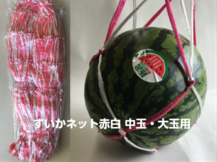 Amazon | ふくろや すいかネット 赤白 中玉・大玉用 100本 68cm太手
