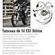 Baceyong Dirtbike-Zündung, Dirt 125ccm Kabelbaum Zündspule Magneto Stator für Dirt Pit Bike 110 50 70 125cc