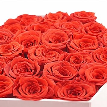 Preserved Roses Flower Box Never Withered Roses, Upscale Immortal Flowers,Gifts for Women,Her,Girls,Sister Present Gift Birthday Day Girlfriend