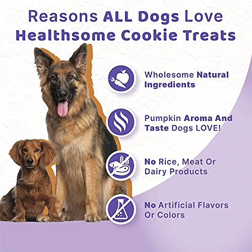 Halo Garden Of Vegan Dog Treats, Training Treats For Dogs, Peanut N' Pumpkin 8Oz Bag #TOP5