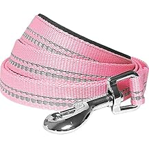 Blueberry Pet 3M Reflective Pastel Color Dog Leash with Soft & Comfortable Handle, 5 ft x 5/8", Baby Pink, Small, Leashes for Dogs