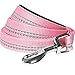 Blueberry Pet 2 Colors 3M Reflective Pastel Color Dog Leash with Soft & Comfortable Handle, 5 ft x 3/4", Baby Pink, Medium, Leashes for Dogs