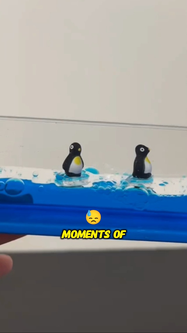 Amazon.com: PowerTRC Liquid Penguin Paperweight | Surfing Sea Creatures | Calming and Relaxing Toy | Autism Toys | Children Activity | Desk Toys (2 Packs) : Office Products Amazon.com: PowerTRC Liquid Penguin Paperweight | Surfing Sea Creatures | Calming and Relaxing Toy | Autism Toys | Children Activity | Desk Toys (2 Packs) : Office Products