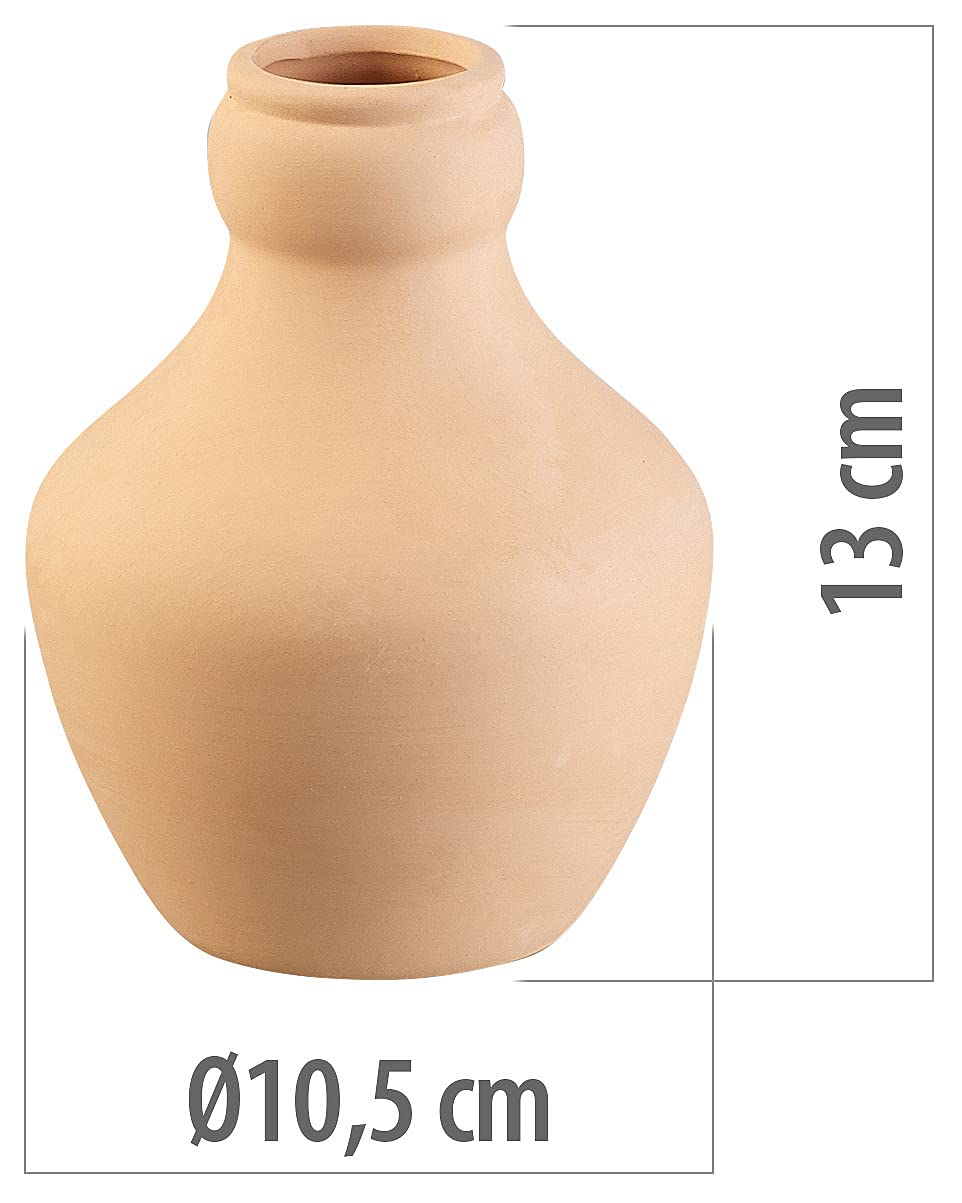 3 doseurs dirrigation en terre cuite - 1 L [Royal Gardineer]