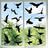 SERVIZIO CLIENTI AFFIDABILE: I nostri protezione uccelli per vetri degli uccelli uniscono design elegante, protezione affidabile e applicazione semplice, risultando quindi eccellenti per ogni casa. Se hai domande sui nostri adesivi per finestre protezione uccelli, siamo a tua disposizione e rispondiamo entro 24 ore