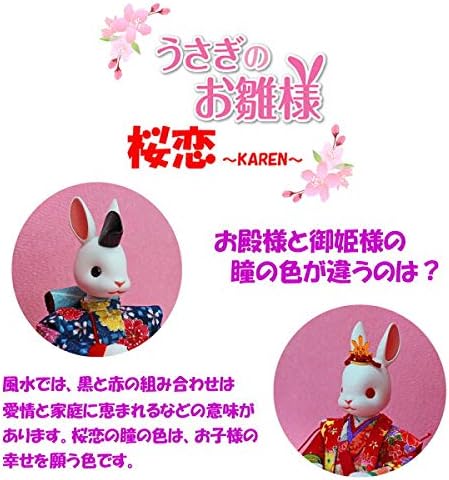 Amazon ひな人形 うさぎ 雛人形 うさぎ コンパクト うさぎのお雛様 日本製 桜恋 Karen 几帳二段五人飾り 衣装 友禅 紫 N3110 3b 平飾り おもちゃ