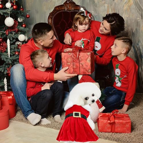 Disfraz Santa Claus para perros talla M rojo miniatura 6