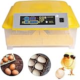 Incubadoras 48 Huevos Completamente Automáticos Incubadora Inteligente Incubadora Criadora de Motores Pollos con Pantalla LED de Temperatura y Control de Humedad (48 Huevos)