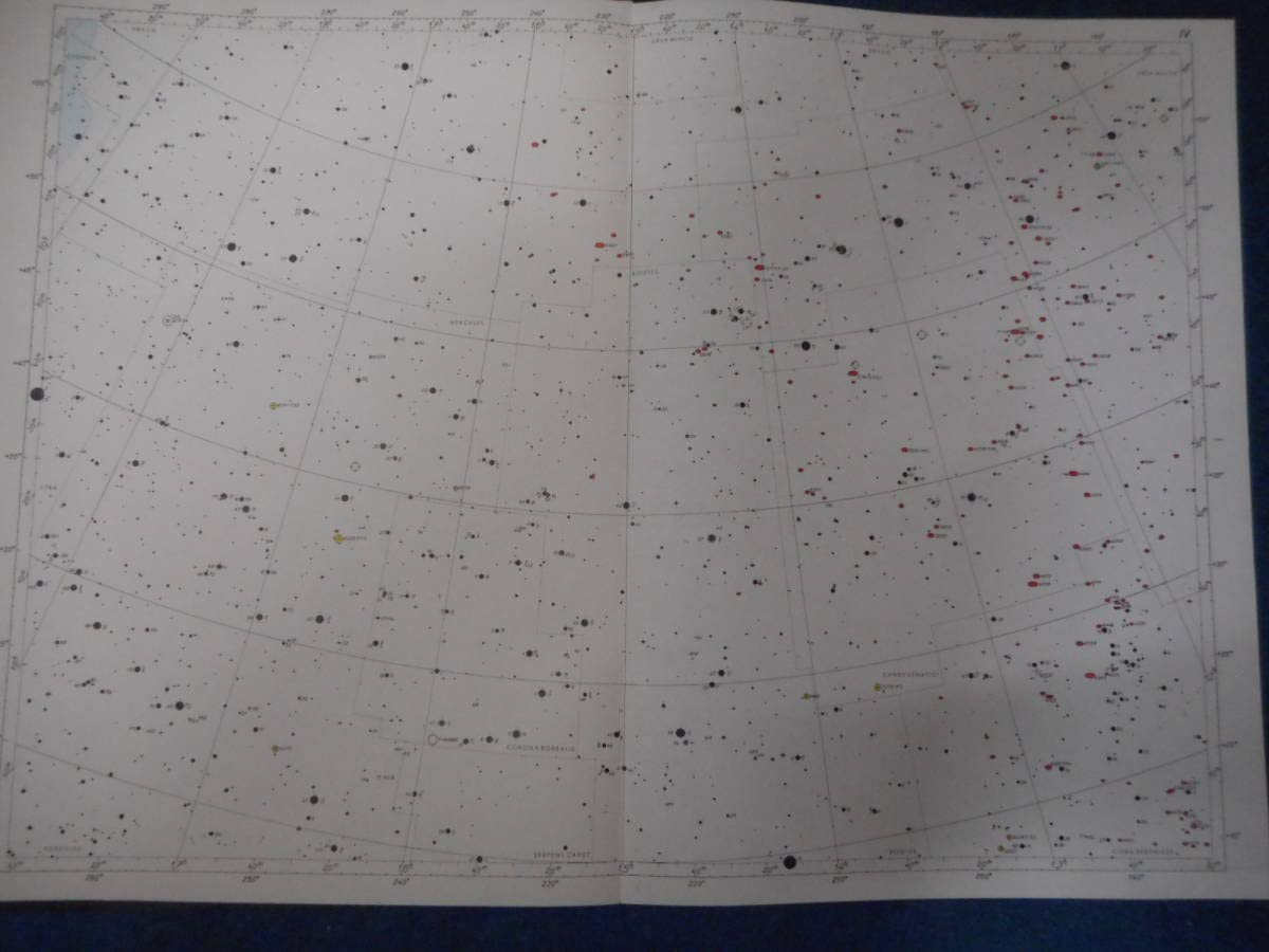 べグバル星図　北天、赤道、南天　スケール付き べグバル星図 北天、赤道、南天 スケール付き 美術品・アンティーク