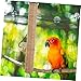 Yardwe Practical Parrot Standing Wood Perch Stick Bird Cage Toy for Scratching and Resting for Budgies Cockatiels and Other Birds