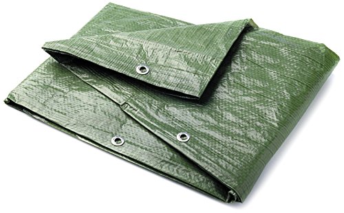 Rolson 17420 - Lona (8 x 12 m)