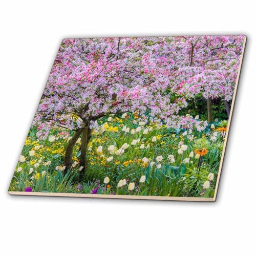3dRose France, Giverny. Springtime in Claude Monets 6 Inch Ceramic Tile