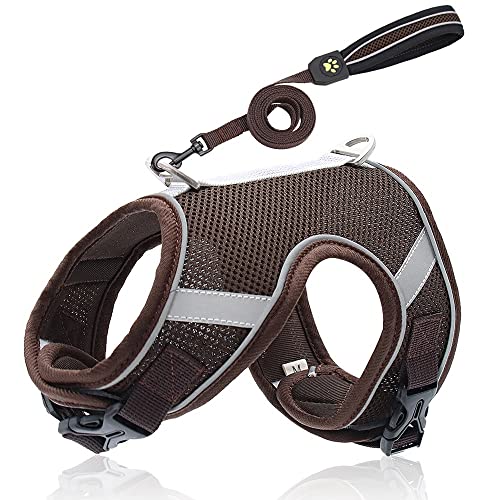 Arnés de Malla Transpirable para Perros y Gatos, Conjunto de Correa, Chaleco de arnés de Nailon Reflectante para Cachorros, Correa Ajustable para Caminar para Perros pequeños y medianos