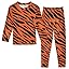 Tiger Print Stripe