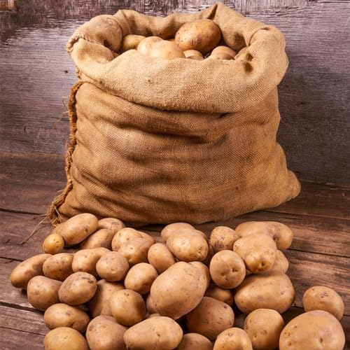 8 Packs Large Burlap Bags for Potato Race 23.6x39.3 inches Reusable Woven Jute Bags Vegetables Gardening Food Storage Bags Yard Waste Bags