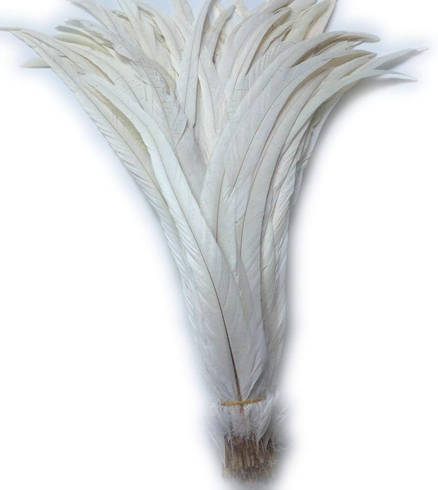 Shekyeon 16-18inch 40-45cm Rooster Coque Tail Feather for Costume Decoration Pack of 20 (Beige/Ivory)