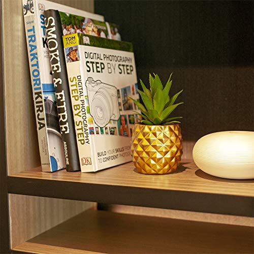 Blascool Artificial Succulent Pineapple Room Decor - House Greenery For Hotel Restaurant Home Office Kitchen Table (01 Gold) #TOP5