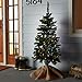 SYLVANIA Christmas Lights, Multi LED 100 Lt Mini Set, Green Wire. 26.1' Total length. For Indoor and Outdoor use.