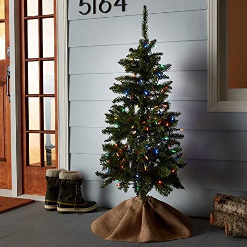 SYLVANIA LED Mini Christmas Lights, Multi