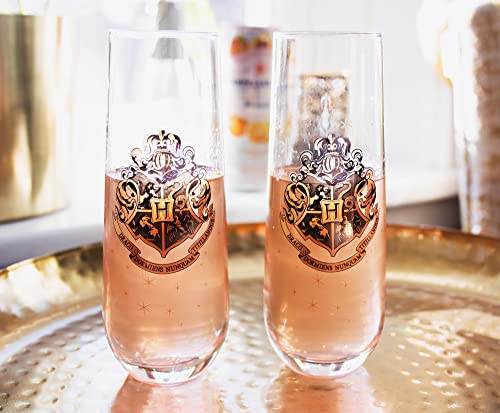 Harry Potter Hogwarts 9-Ounce Stemless Fluted Glassware, Set Of 2 | Toasting Champagne Glass Cups For Wine, Mimosas, Cocktails | Home Barware Decor, Kitchen Essentials, Housewarming Gifts #TOP5