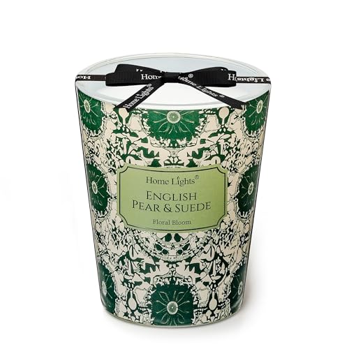 HomeLights Soy Wax Candles for Home Scented, 1-Wick Candles in