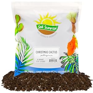 Soil Sunrise Christmas Cactus Potting Soil Mix (8 Quarts) Custom Blend for Xmas, Easter, and Thanksgiving Cactus Tropical Indoor Houseplants