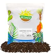Amazon.com : Soil Sunrise Carnivorous Plant Potting Soil Mix (8