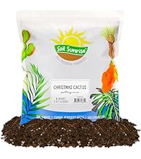 Amazon.com : Soil Sunrise Carnivorous Plant Potting Soil Mix (8