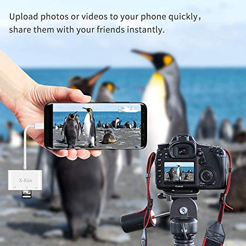 XKIM USB C SD Card Reader Micro SD Card Reader Adapter Camera Memory