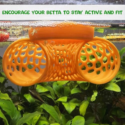 Image of Floating Betta Tunnel for Betta Training. Interactive Training & Enrichment Toy for Betta Fish - Stress Relief & Exercise Accessory, Floating Betta Fish Toys