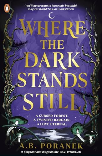 Where the Dark Stands Still: A sweeping, gothic YA fairytale romance