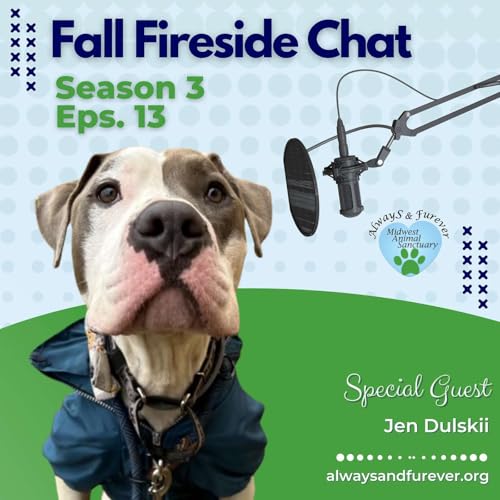 Fall Fireside Chat Podcast Por  arte de portada